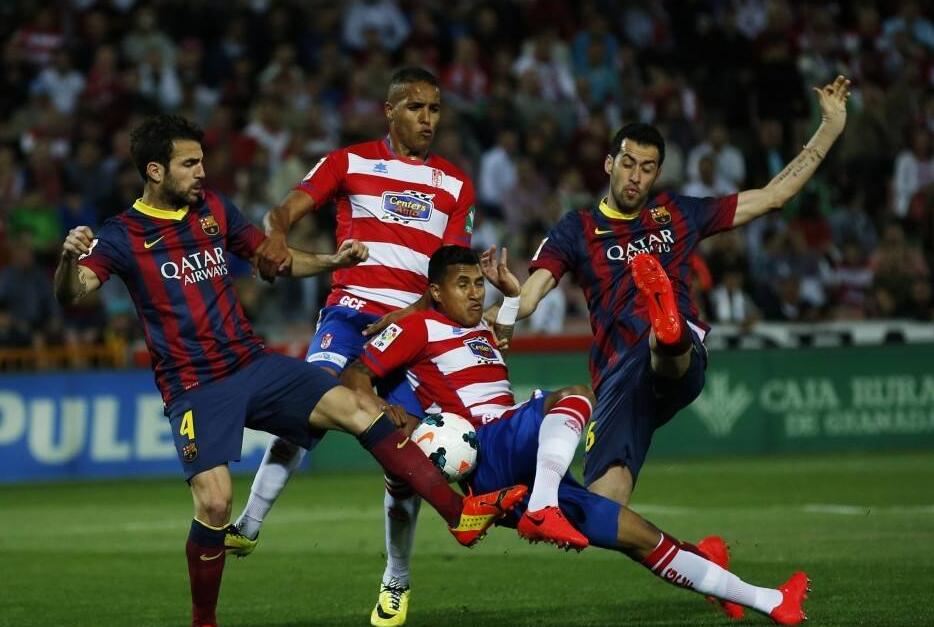 成功的案例 成功的案例