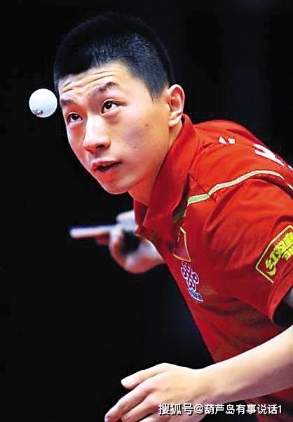 展示了他们 展示了他们