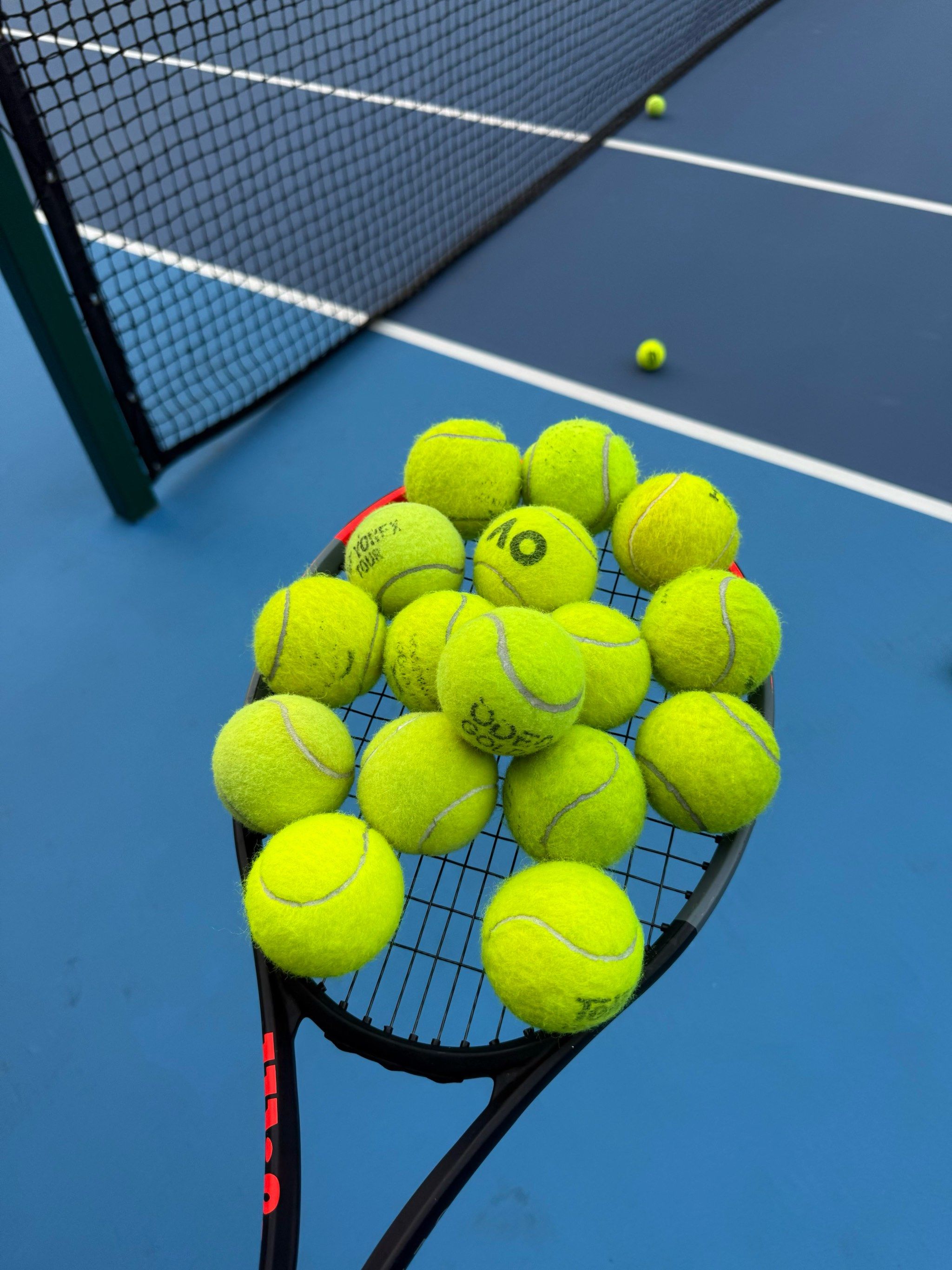 他们在替补 他们在替补