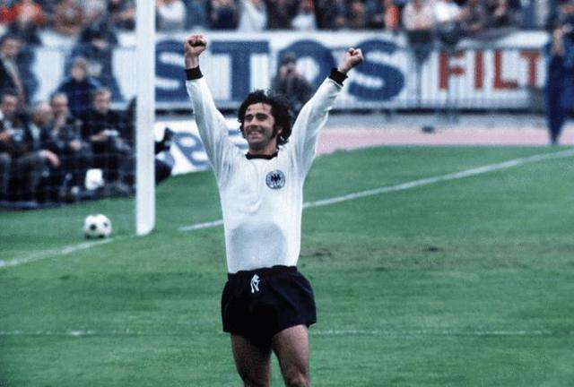 一旦森林狼 一旦森林狼